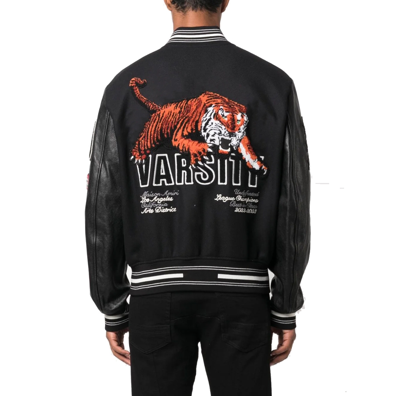 Men Varsity Jacket