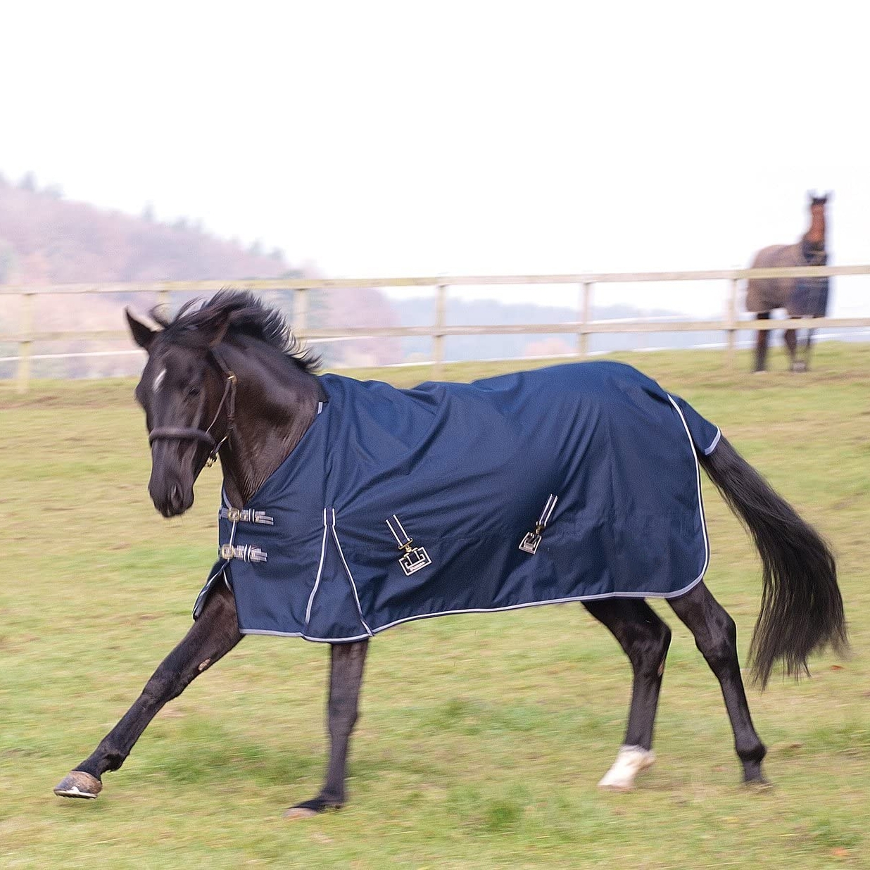 Horse Rug